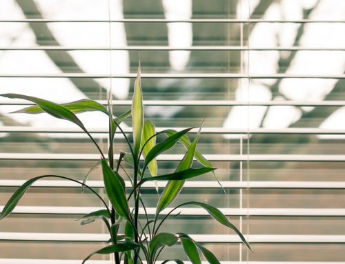 How to Make Your Office More Environmentally Friendly